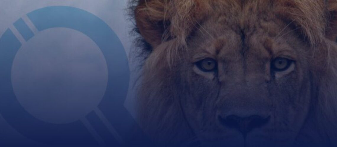 Imposto de Renda 2024 veja como declarar, tire dúvidas